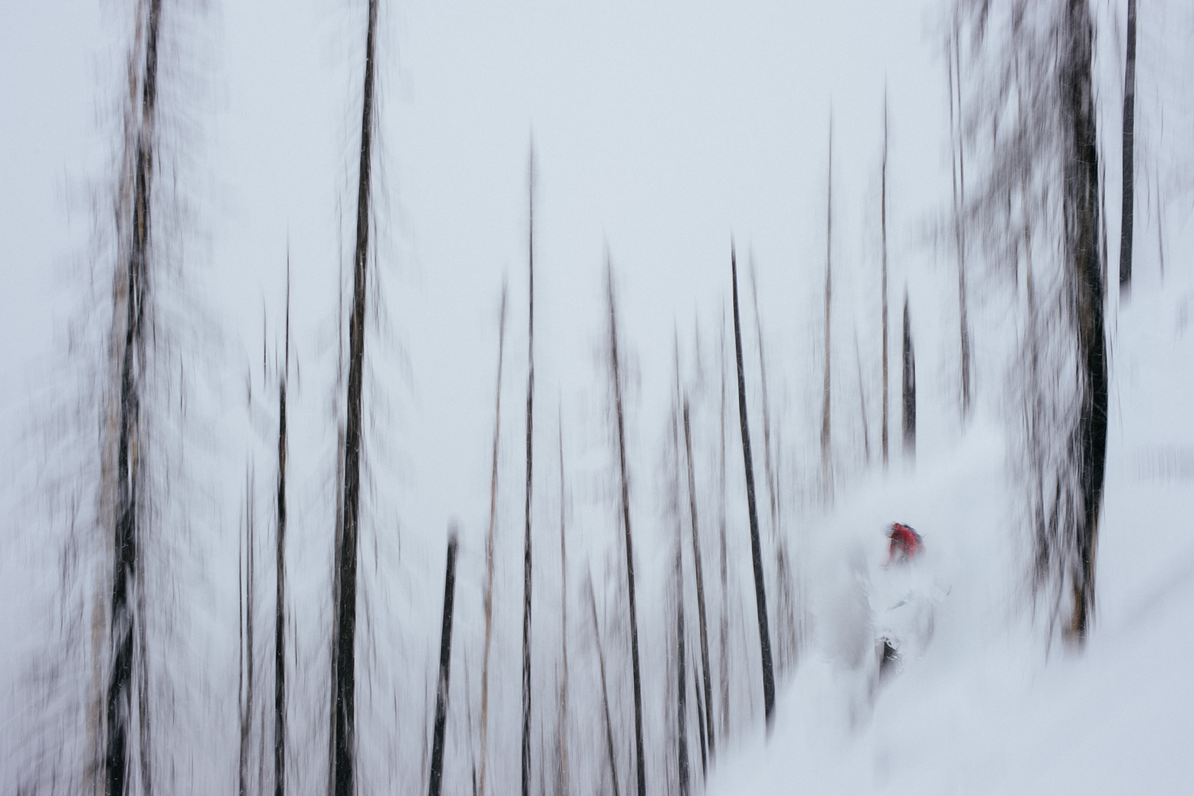 20110105_monashee_031b
