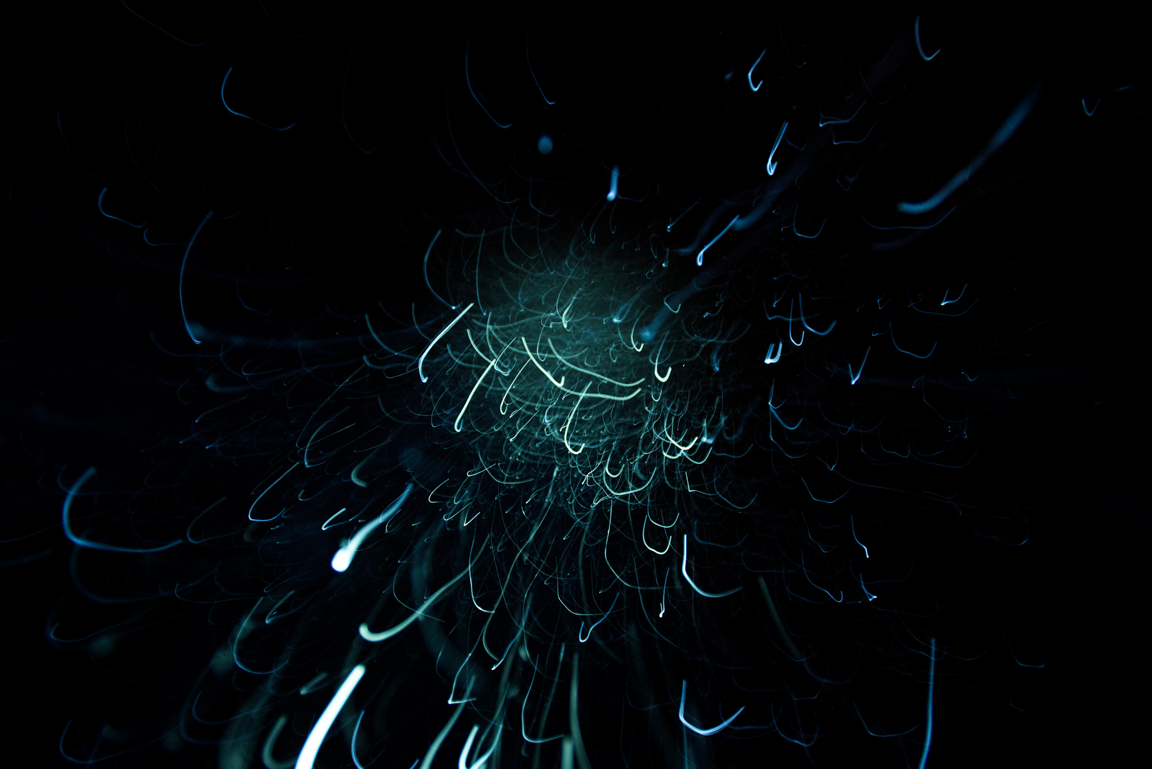 20141128_snow_40b